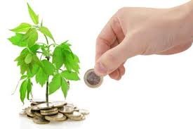 images_165